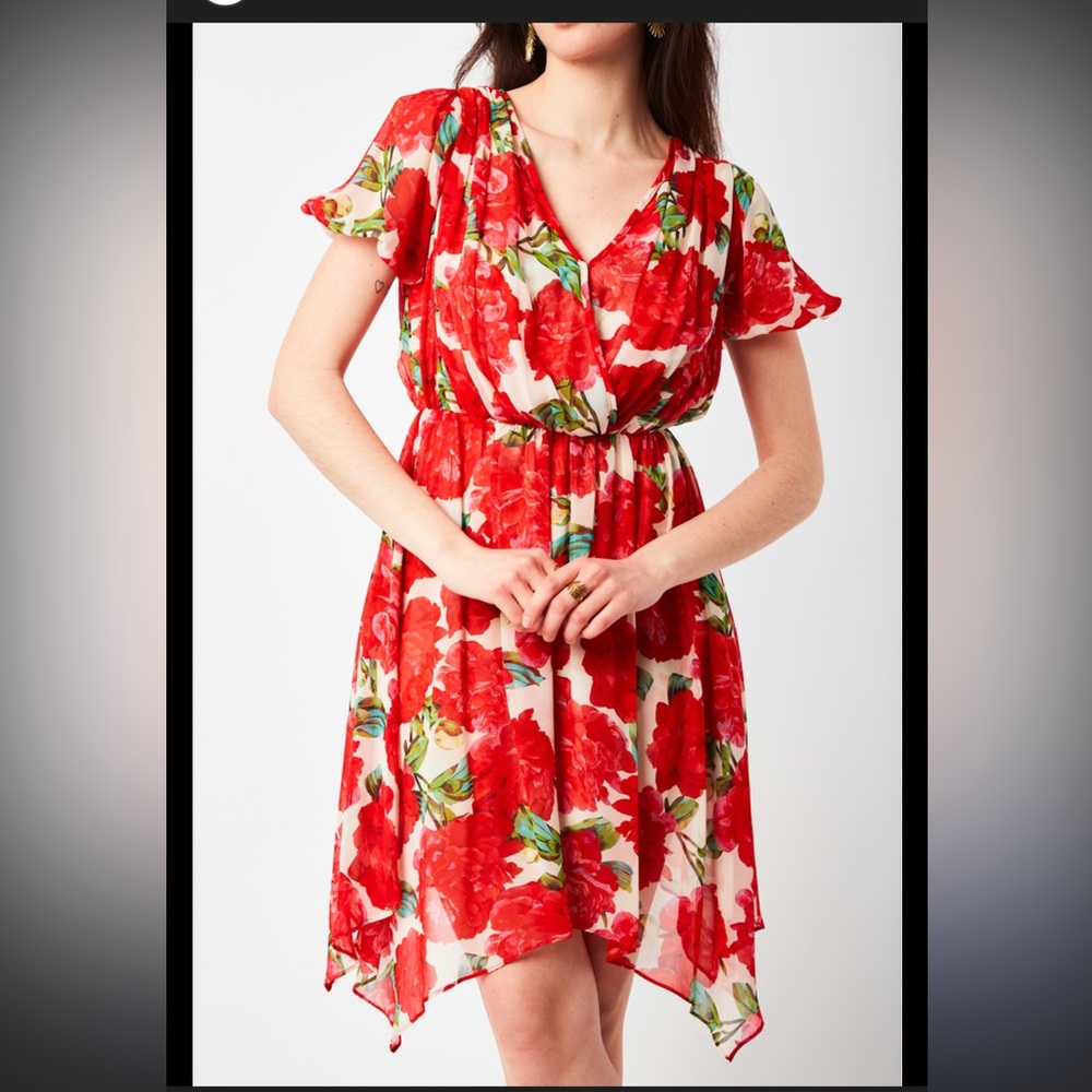 The Kooples Red Floral Dress